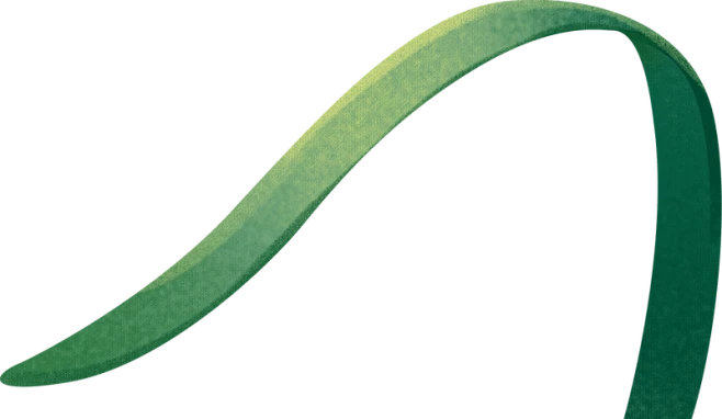 【PNG素材网-png.mixinnet.cn】春季节气完整插画A-水仙花叶子