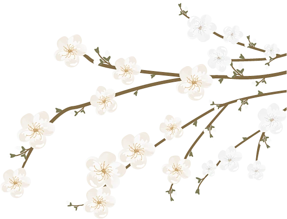 【PNG素材网-png.mixinnet.cn】梅花