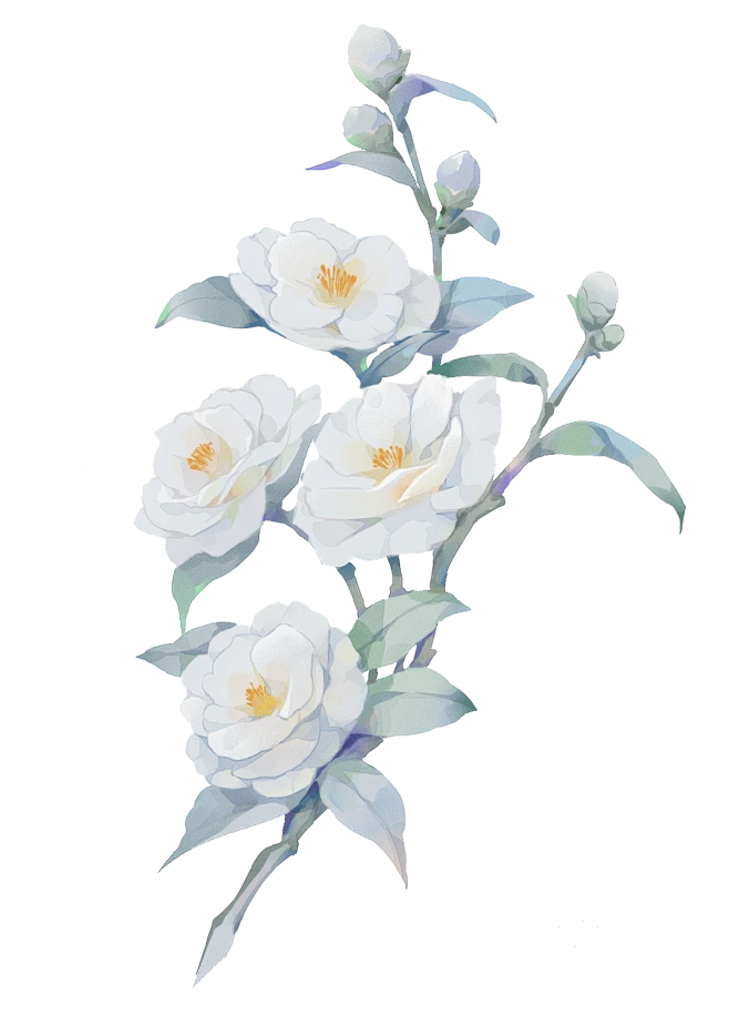 【觅图网-pic.51mitu.com】【免费可商素材】山茶花点赞+关注=自用点赞+… - 半次元 - ACG爱好者社区