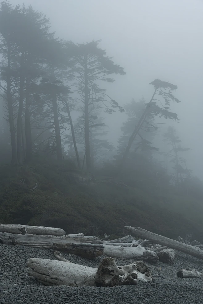 【PNG素材网-png.mixinnet.cn】Dead Coast (326)