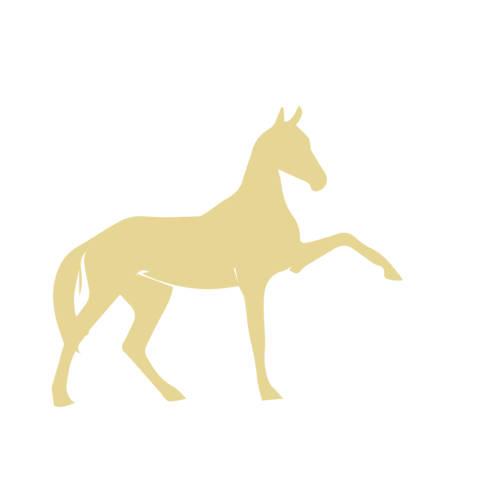 【PNG素材网-png.mixinnet.cn】马