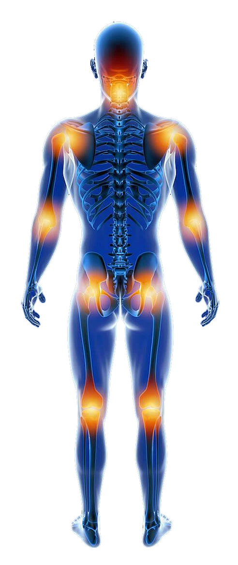 【PNG素材网-png.mixinnet.cn】143f17dd3b1665c4476061df07eaf6