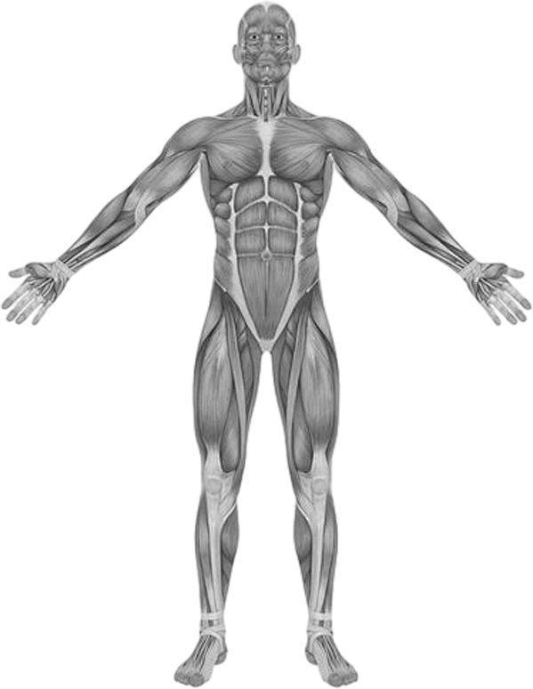 【PNG素材网-png.mixinnet.cn】未标题-1_0001_97695c7ebb4460ff77e