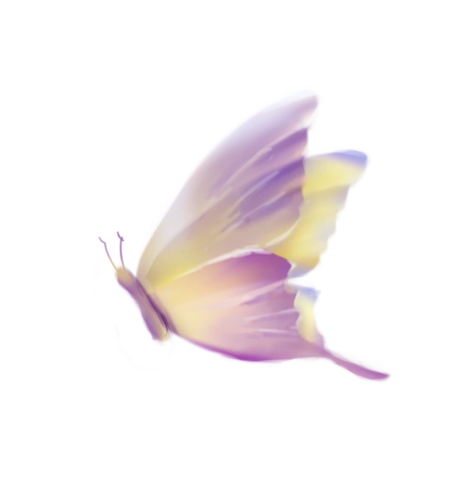 【PNG素材网-png.mixinnet.cn】蝴蝶 61