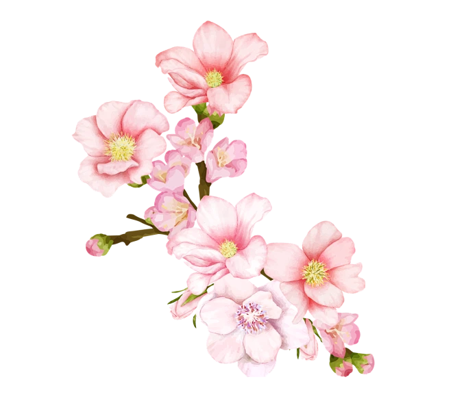 【PNG素材网-png.mixinnet.cn】i355a