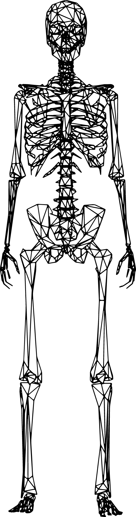 【PNG素材网-png.mixinnet.cn】高清PNG透明图_人体头像结构手脚四肢五官3D立体运动全身线