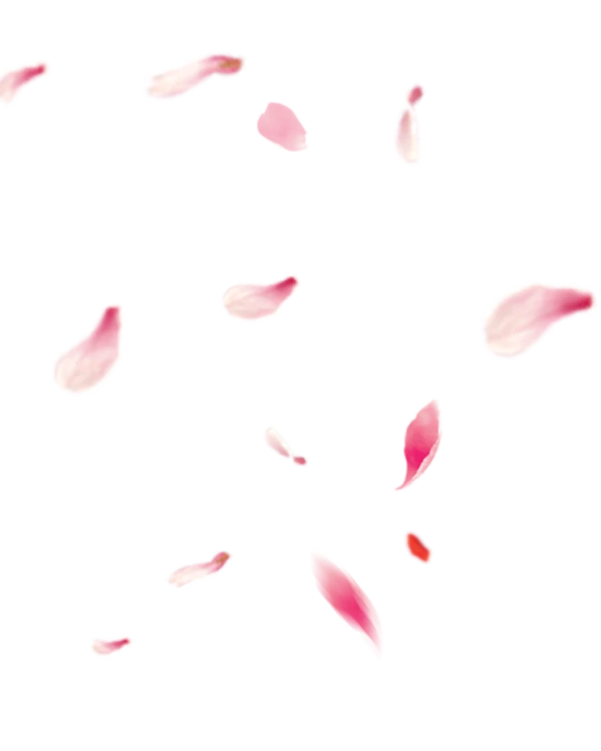 【PNG素材网-png.mixinnet.cn】s_1024_58be6644992b8