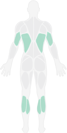 【PNG素材网-png.mixinnet.cn】back