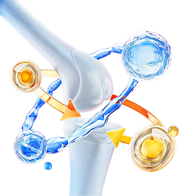 【PNG素材网-png.mixinnet.cn】骨骼3