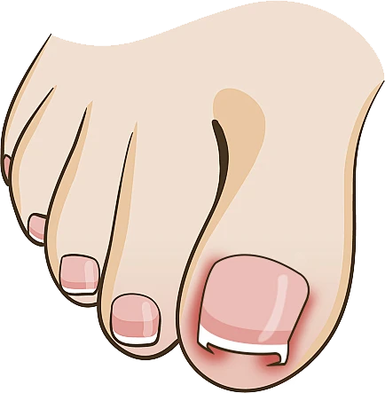 【PNG素材网-png.mixinnet.cn】图层-53