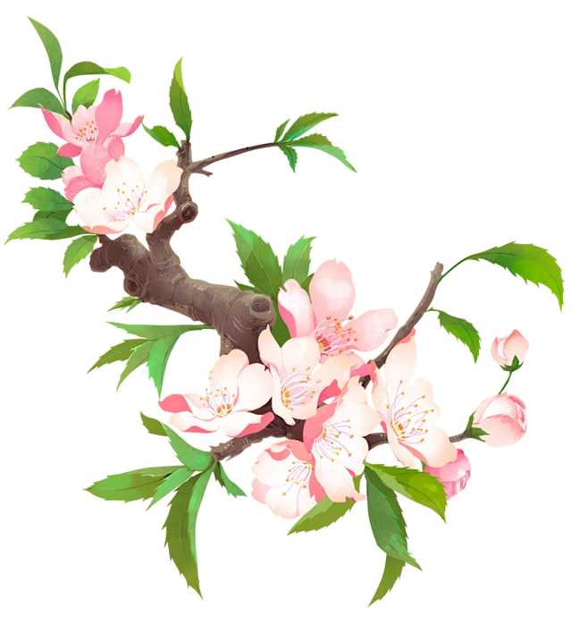 【PNG素材网-png.mixinnet.cn】1 (15)