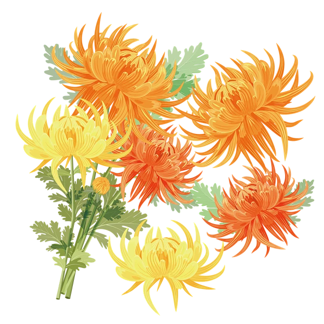 【PNG素材网-png.mixinnet.cn】#重阳节#