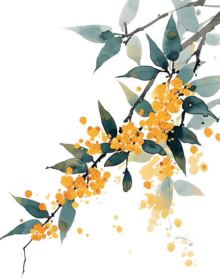 【PNG素材网-png.mixinnet.cn】水墨风花卉插画-桂花