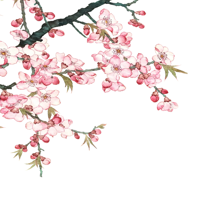 【PNG素材网-png.mixinnet.cn】#PNG# #PNG手绘花朵# #手绘花朵# #透明小素材#艺鱼视觉