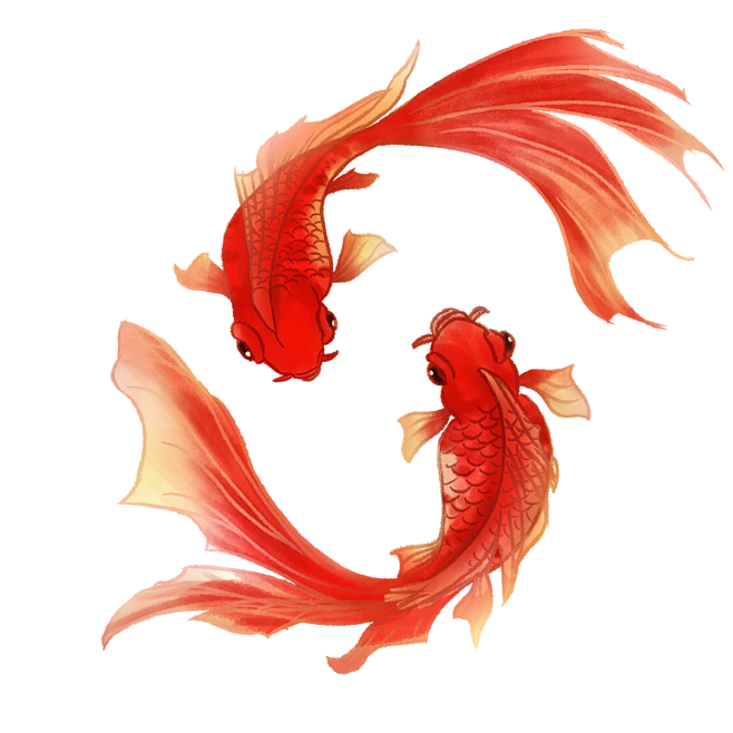 【PNG素材网-png.mixinnet.cn】鱼缸金鱼
