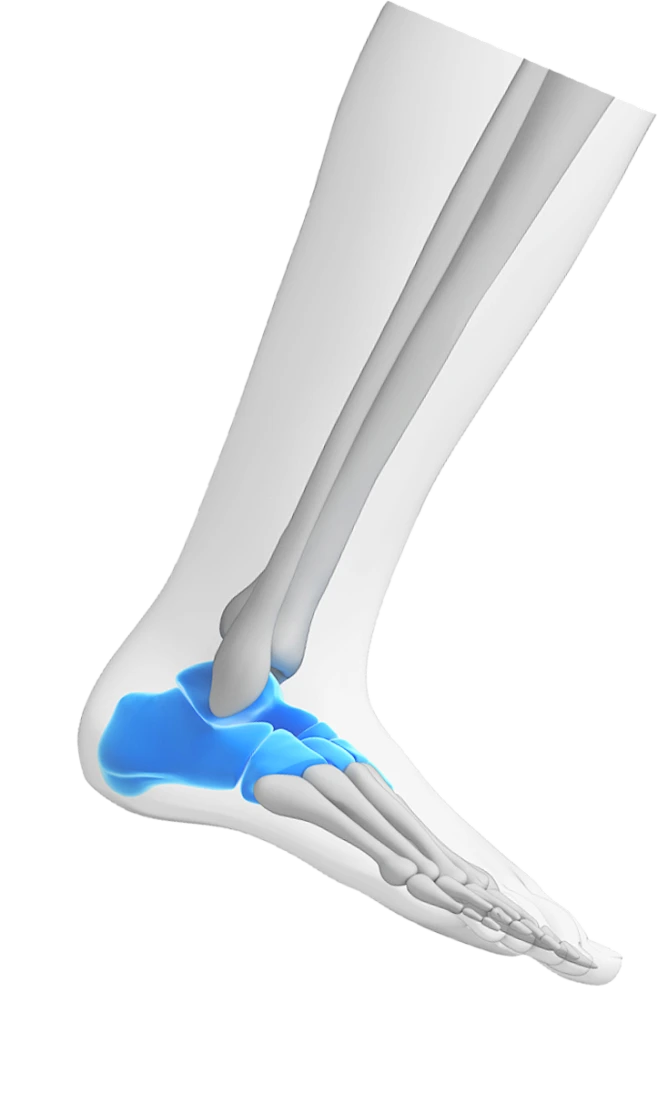 【PNG素材网-png.mixinnet.cn】未标题-4