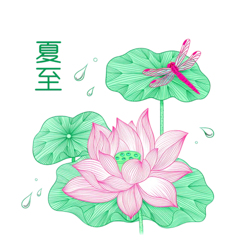 【PNG素材网-png.mixinnet.cn】夏至手绘荷花