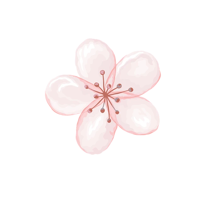 【PNG素材网-png.mixinnet.cn】雨水 杏花