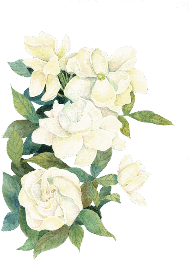 【PNG素材网-png.mixinnet.cn】c178c906cdf7220daf1835471a15225d61e15b6f35b20-RBP5uI_fw1200