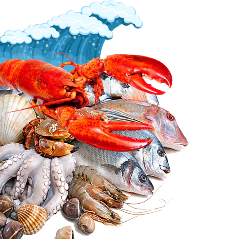 【PNG素材网-png.mixinnet.cn】水产