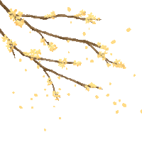 【PNG素材网-png.mixinnet.cn】动效