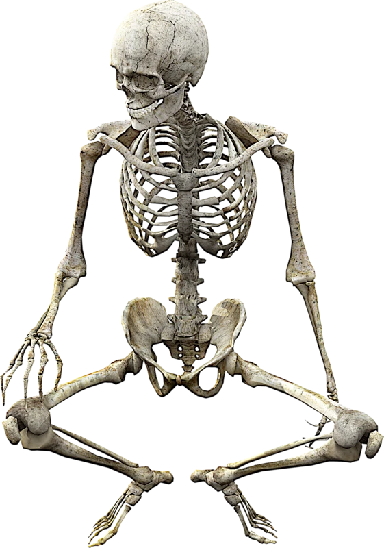 【PNG素材网-png.mixinnet.cn】骷髅