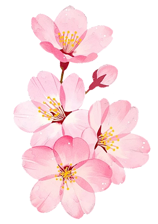 【PNG素材网-png.mixinnet.cn】花 素材