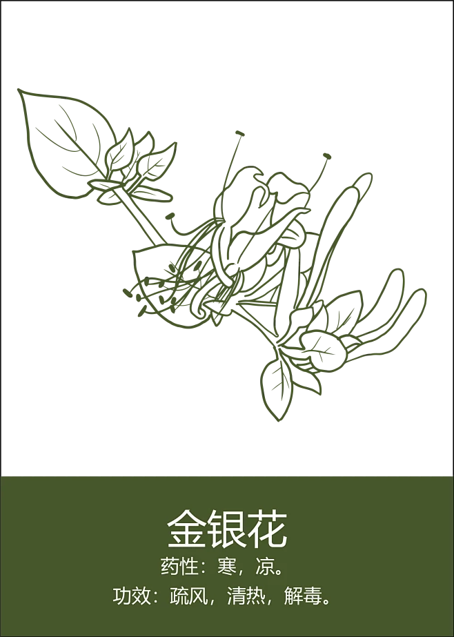 【PNG素材网-png.mixinnet.cn】中药材插画