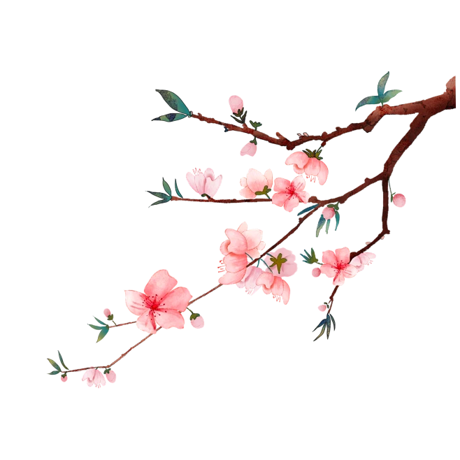 【PNG素材网-png.mixinnet.cn】古风素材花枝
