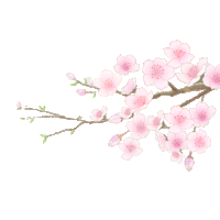 【PNG素材网-png.mixinnet.cn】GIF素材