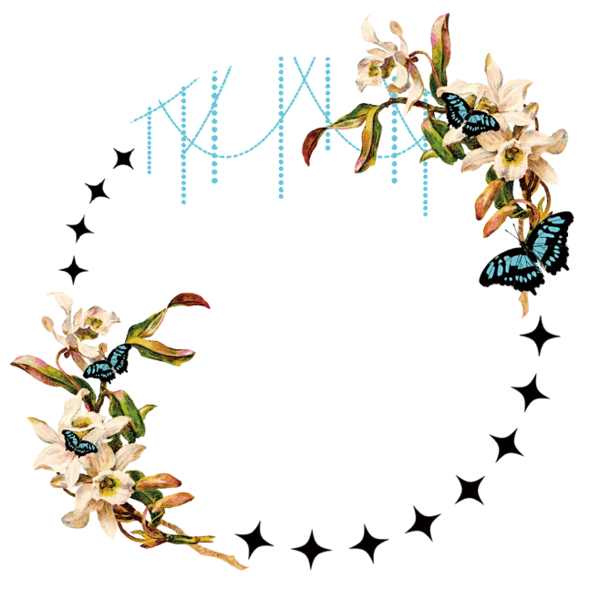 【PNG素材网-png.mixinnet.cn】-CaTToiin- 吧唧徽章边框