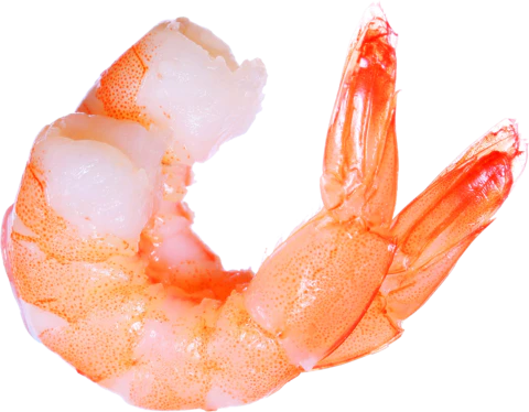 【PNG素材网-png.mixinnet.cn】虾仁