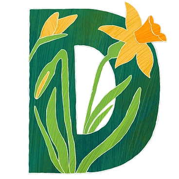 【PNG素材网-png.mixinnet.cn】资本 d 与水仙花 PNG, SVG