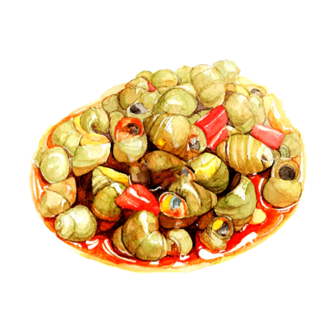 【PNG素材网-png.mixinnet.cn】田螺