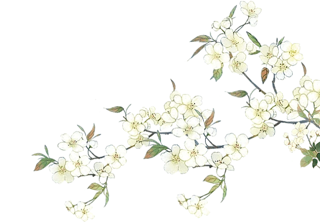 【PNG素材网-png.mixinnet.cn】4bdcf079125a4aa5ea9b1d1715342ce9b2f36f233b3fb-kyFRCC