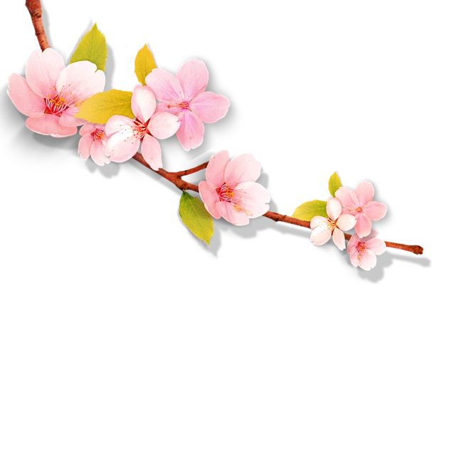 【PNG素材网-png.mixinnet.cn】唯美桃花素材