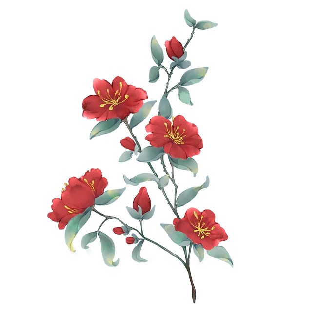 【觅图网-pic.51mitu.com】【素材】也不知道画的什么花，分享给大家，p2是… - 半次元 - ACG爱好者社区