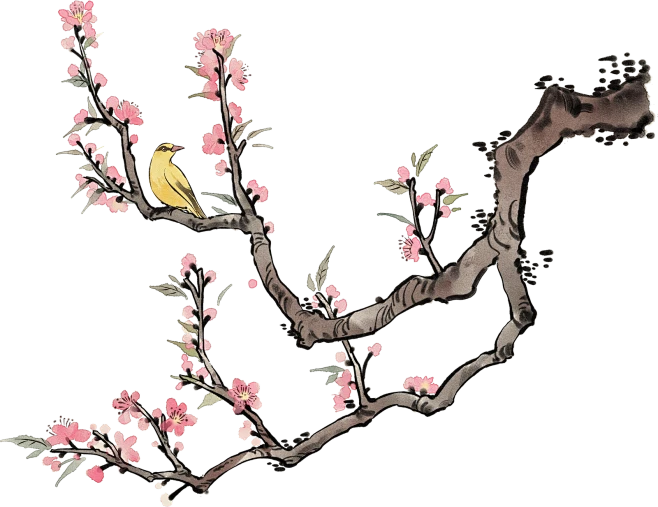 【觅图网-pic.51mitu.com】春季水墨节气插画-桃花