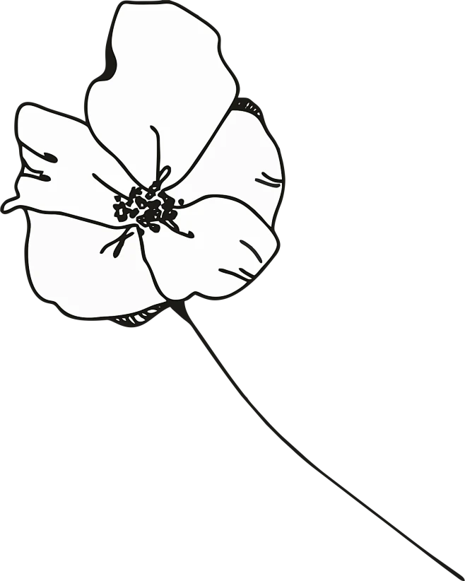 【PNG素材网-png.mixinnet.cn】Hand-Drawn-Floral-Elements-20