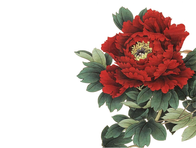 【PNG素材网-png.mixinnet.cn】redskorpion11