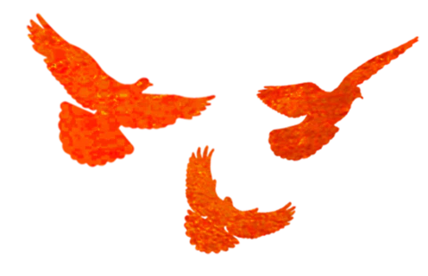 【PNG素材网-png.mixinnet.cn】国庆节和平鸽元素