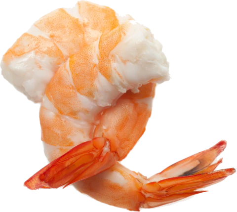 【PNG素材网-png.mixinnet.cn】基围虾