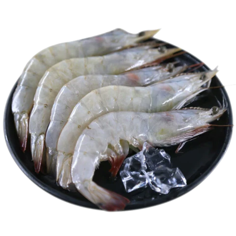 【PNG素材网-png.mixinnet.cn】透明冰块冻柠檬