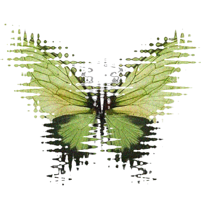 【PNG素材网-png.mixinnet.cn】蝴蝶素材png