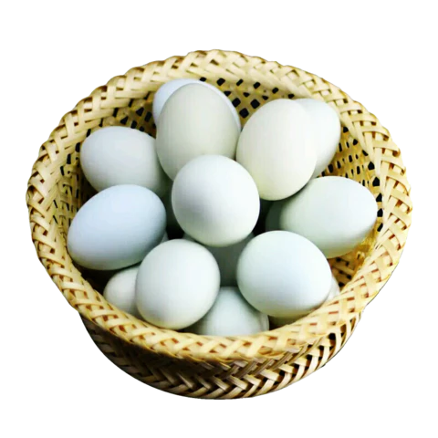 【PNG素材网-png.mixinnet.cn】鸭蛋