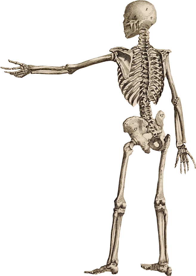 【PNG素材网-png.mixinnet.cn】美式复古怀旧人物植物风景古董撕纸艺术拼贴剪贴画PNG免抠图素