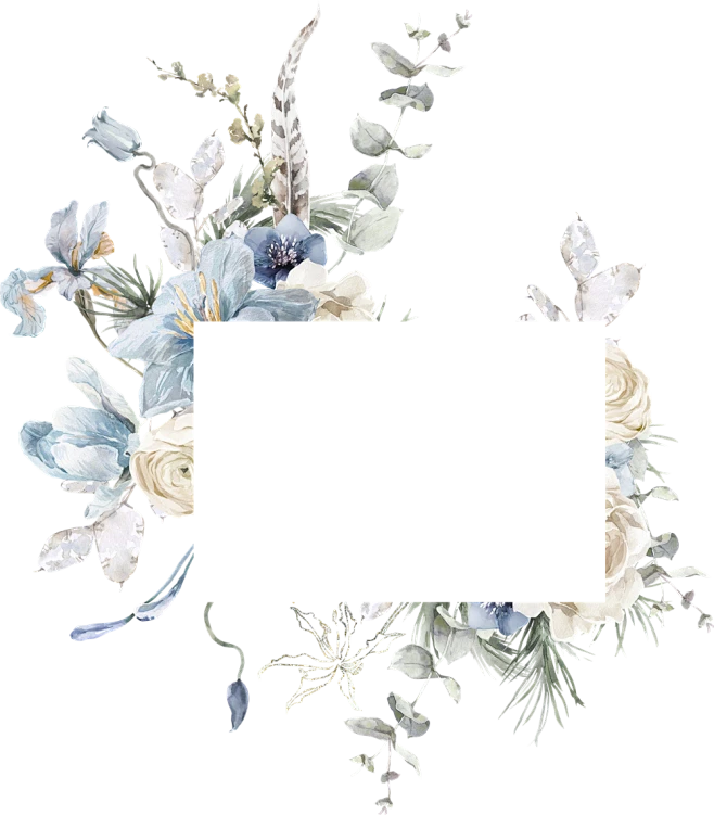 【觅图网-pic.51mitu.com】水彩清新花卉植物LOGO图标婚礼海报装饰透明免抠PNG图案装饰素材 (10)