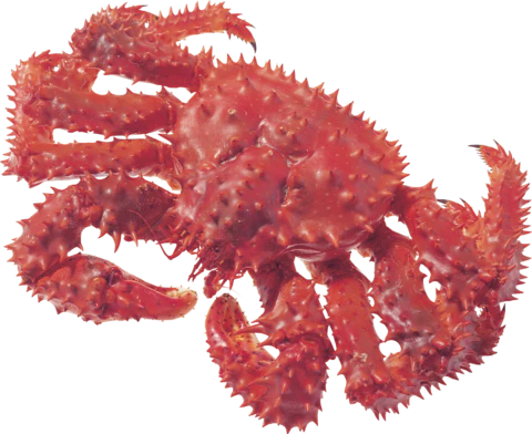 【PNG素材网-png.mixinnet.cn】螃蟹