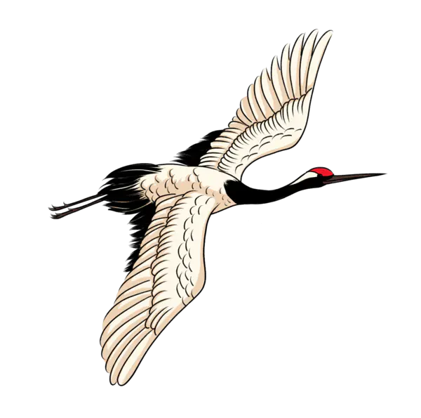 【PNG素材网-png.mixinnet.cn】丹顶鹤模板海报(1334x1322)