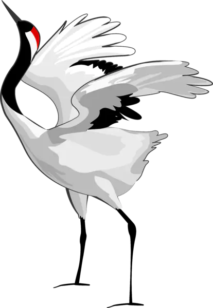 【PNG素材网-png.mixinnet.cn】丹顶鹤模板海报(5275x7647)